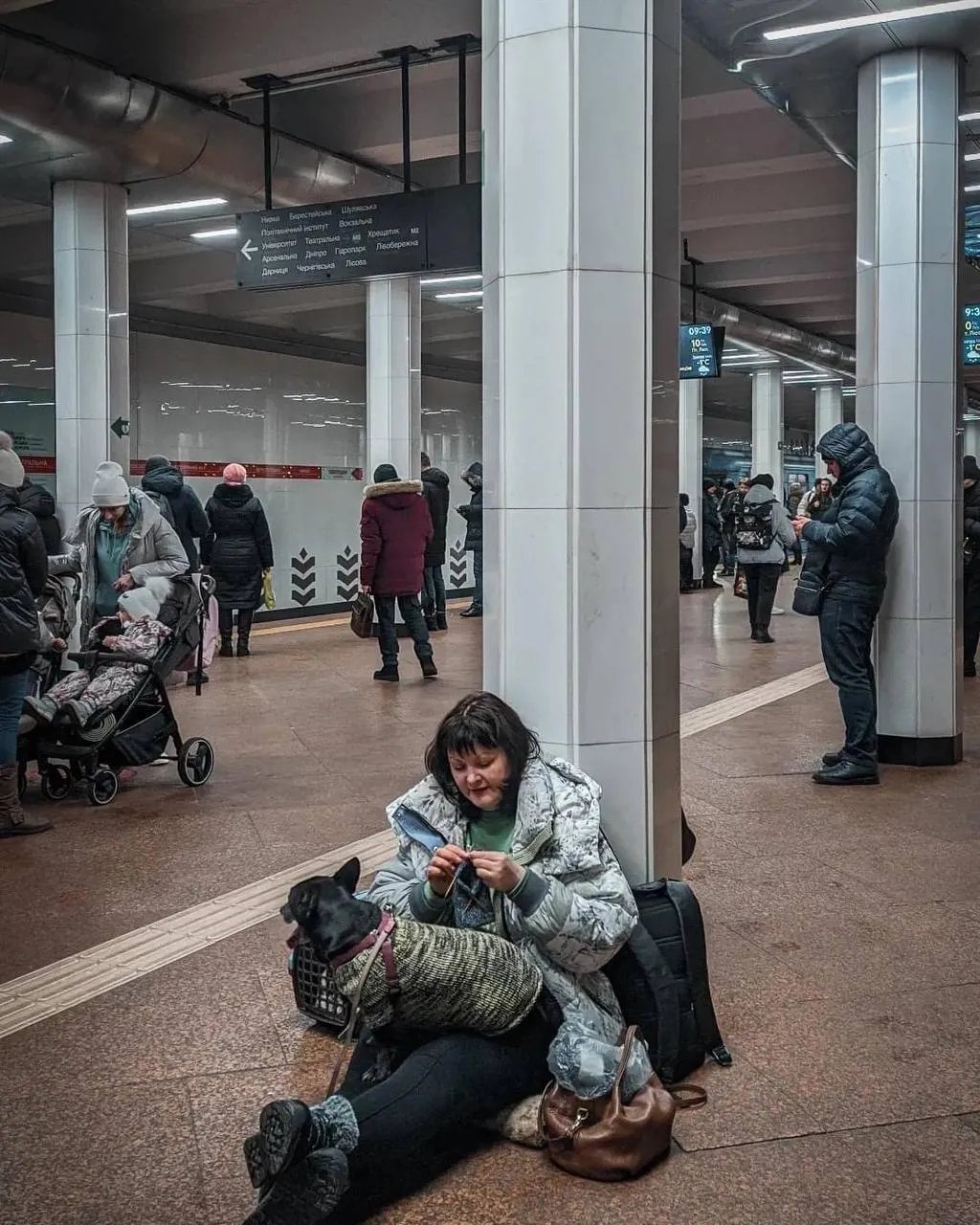 Киевлянка с собакой вяжет в метро во время атаки. Фото: Павел Заярный