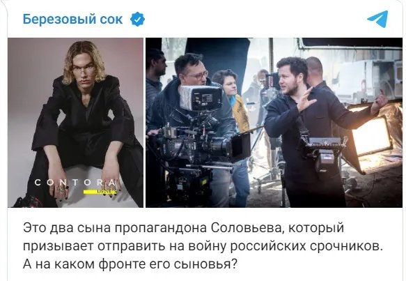 Повнолітні сини Володимира Соловйова Повнолітні сини Володимира Соловйова