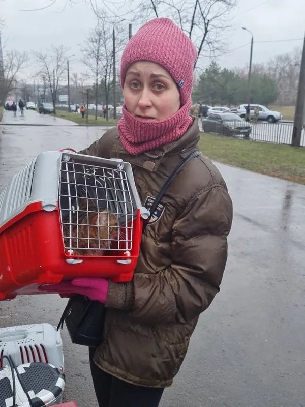 Басю врятували Басю врятували