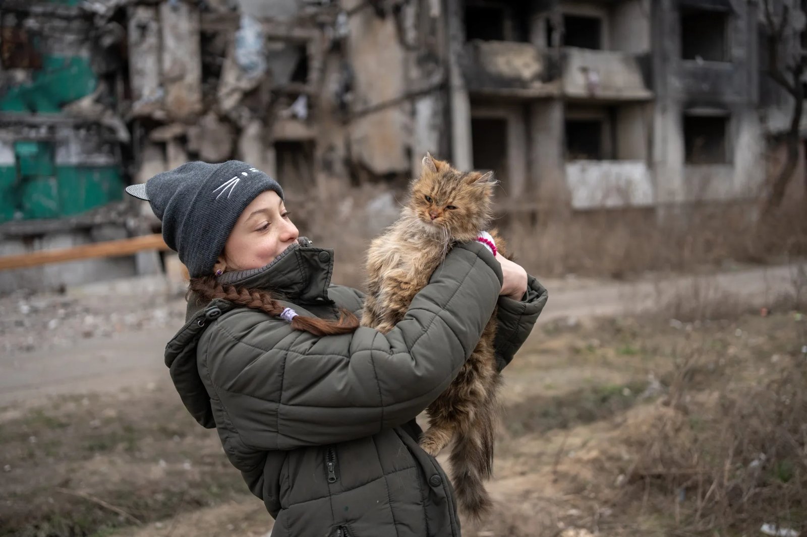 Мріє про власний дім. 10-річна Вероніка щодня приходить до свого зруйнованого будинку у Бородянці, щоб нагодувати котів 3