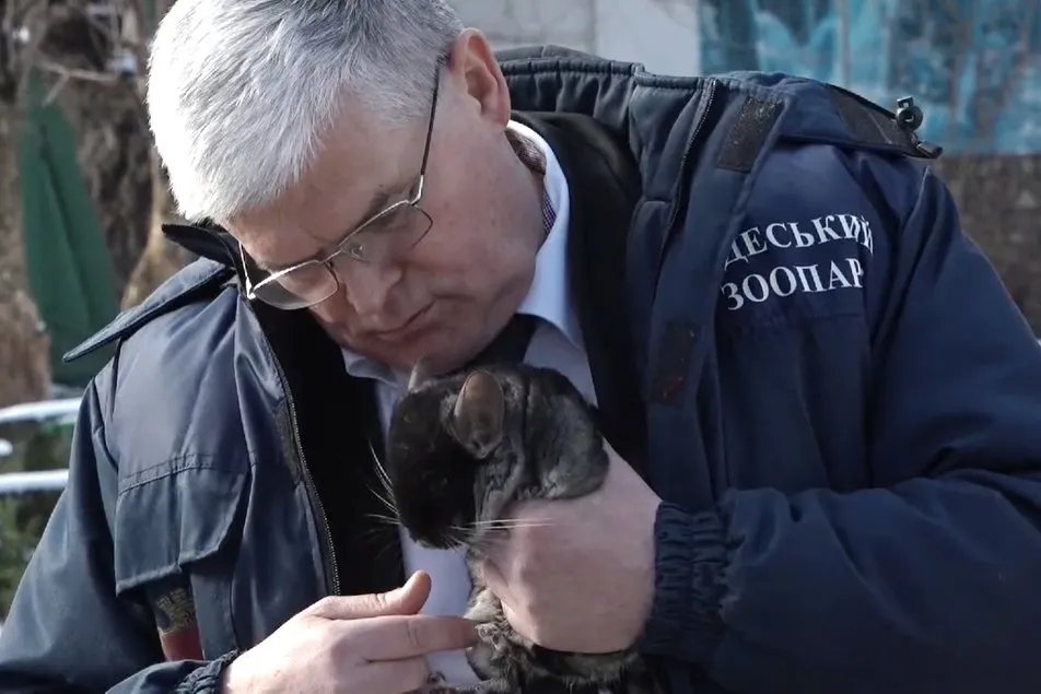 Закоханий у шиншилу: директор Одеського зоопарку зворушив новим кліпом до Дня Валентина 1