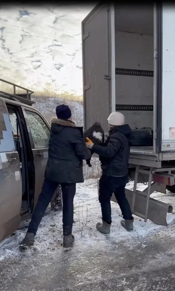 Так проходила евакуація господарства