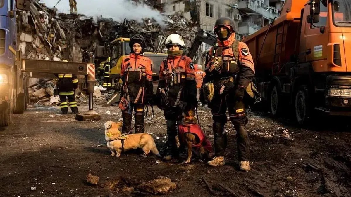 На місці трагедії 22 години працювали 7 собак-універсалів разом з кінологами На місці трагедії 22 години працювали 7 собак-універсалів разом з кінологами