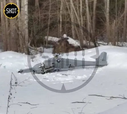 Фото: упавший беспилотник якобы под Москвой