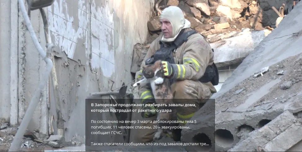 У Запоріжжі тривають рятувальні роботи у зруйнованому ракетою будинку, з-під завалів дістали кількох тварин 2