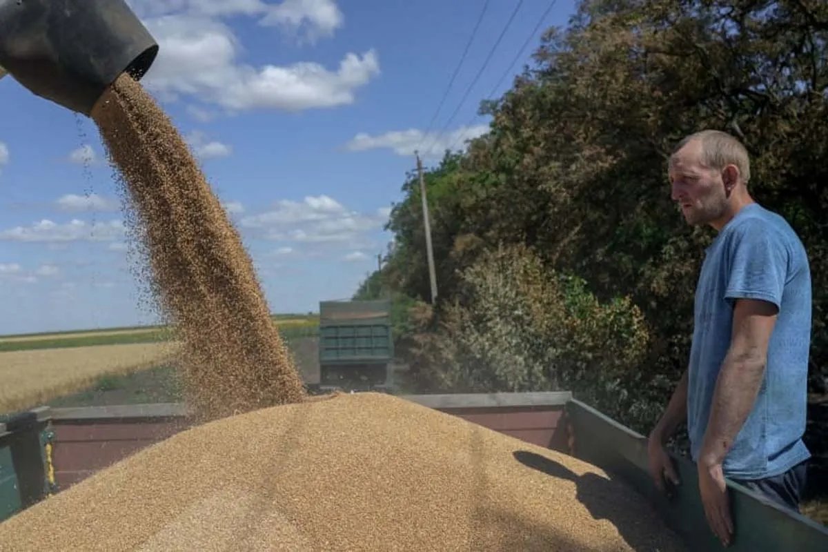 Пермолочене зерно
