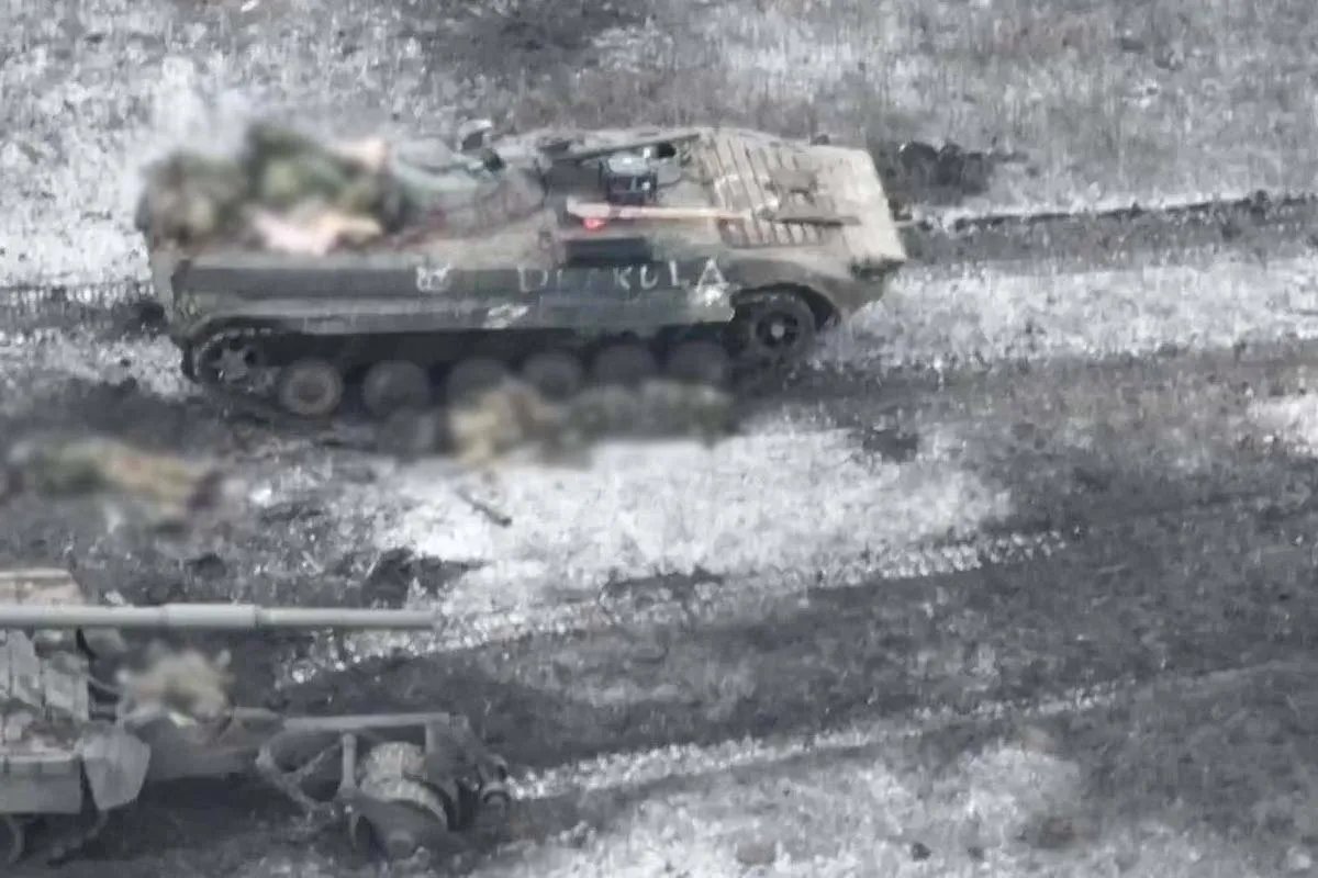 Бита русня Бита русня