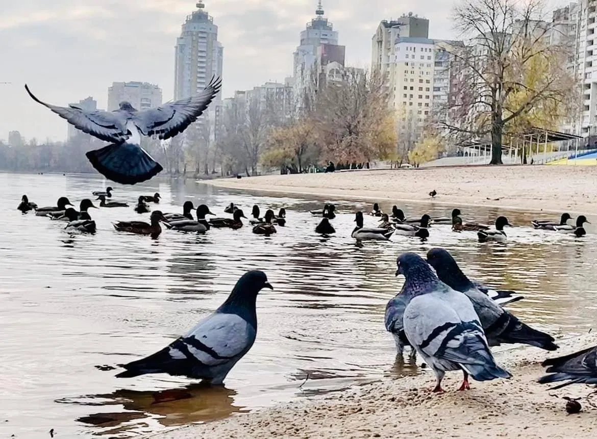 Київський парк "Наталка" Київський парк "Наталка"