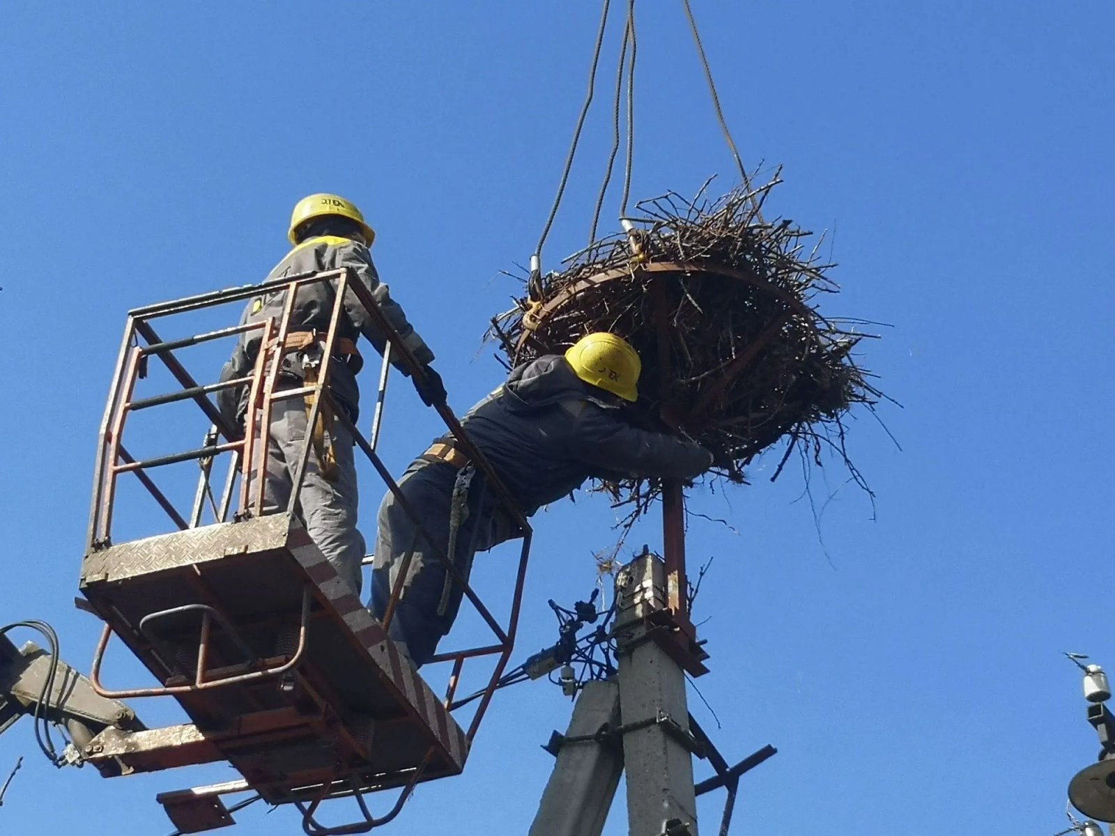 Енергетики встановлюють безпечні опори Енергетики встановлюють безпечні опори