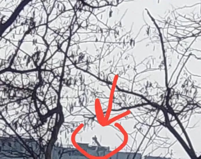 Знімок ймовірної другої ракети, яка не вибухнула