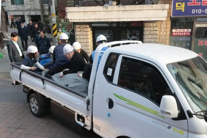 У Сеулі зебра втекла зі зоопарку й три години гуляла містом 5