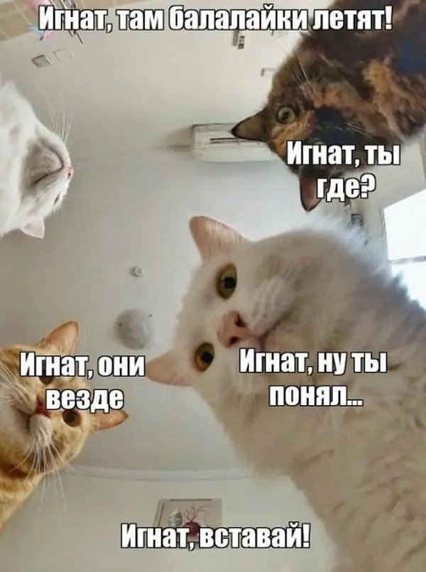 Адміністратори телеграм-каналів не в захваті від рішення Повітряних сил Адміністратори телеграм-каналів не в захваті від рішення Повітряних сил