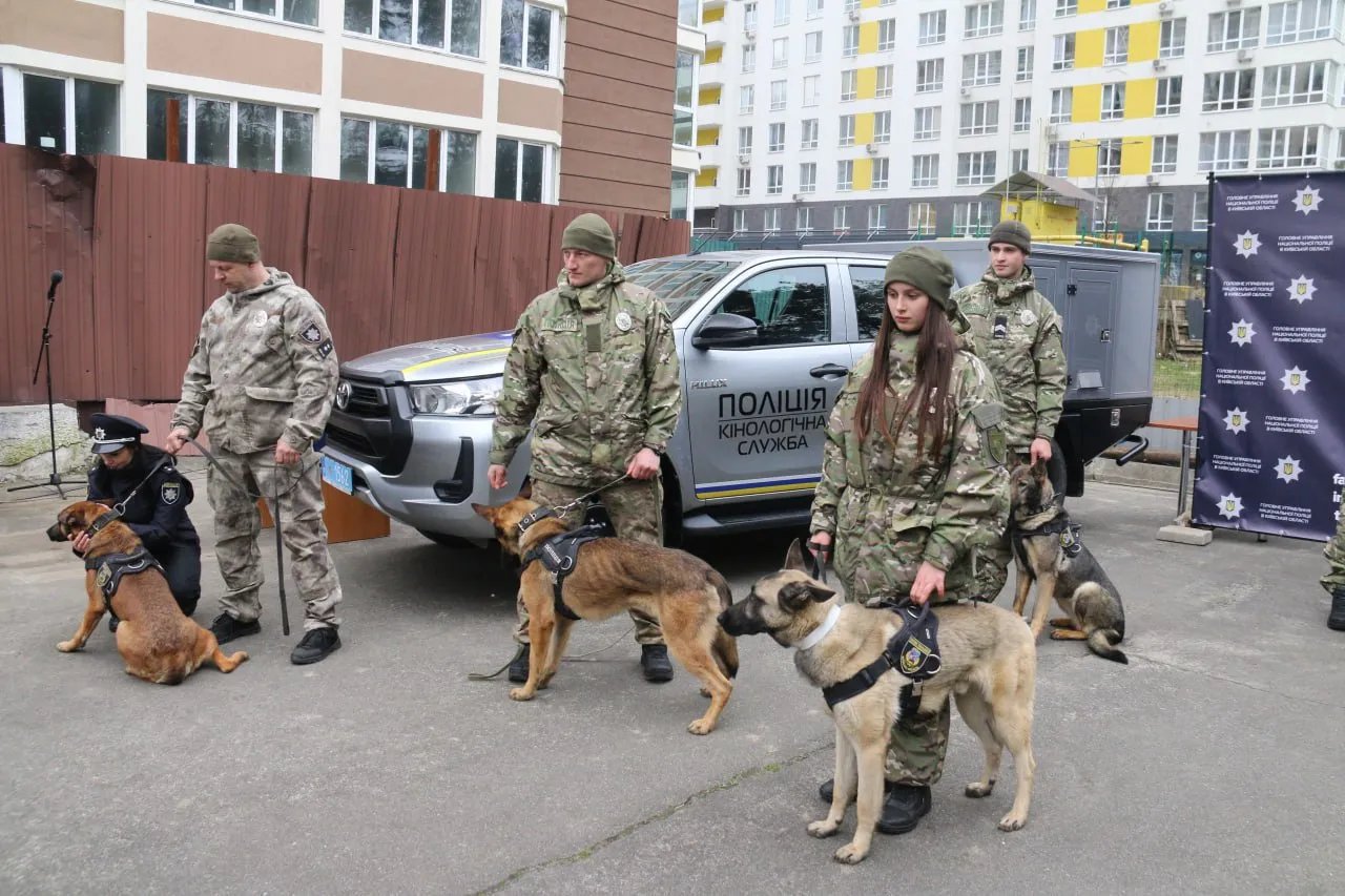 На допомогу Патрону: Україна отримала від Нідерландів 11 собак-саперів 2