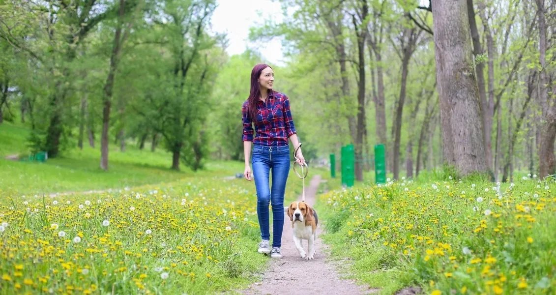 18 квітня власники домашніх тваринок можуть розслабитись та відпочити від турбот про свого улюбленця