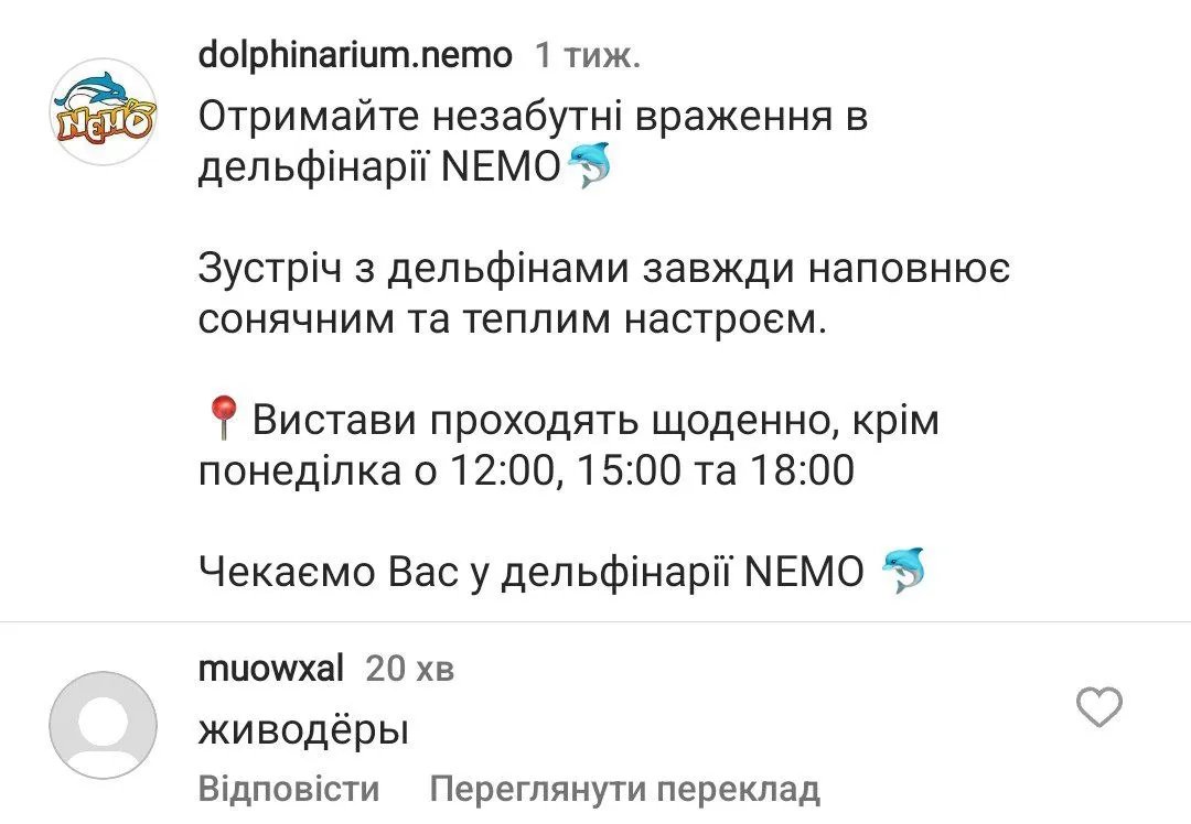 Коментар під постом дельфінарію в Instagram
