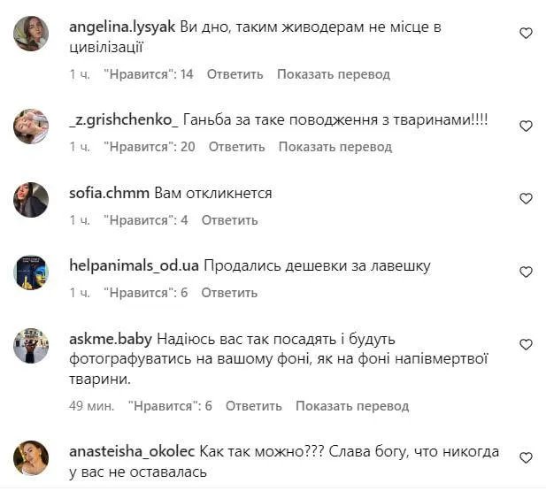 Коментарі під постом дельфінарію в Instagram