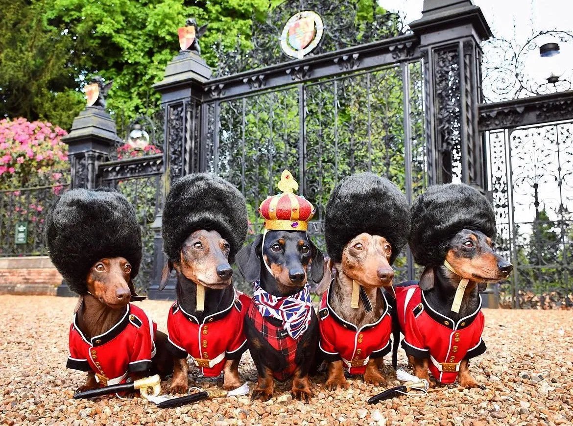 Британский юмор везде