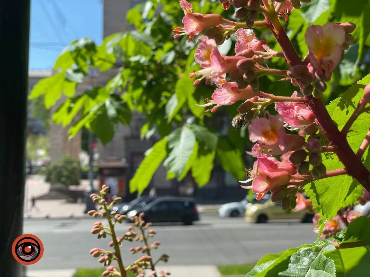 Колір просто заворожує