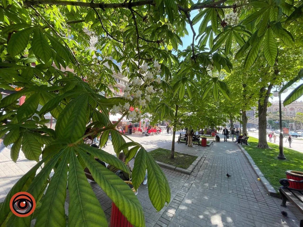 Краса, яка заворожує