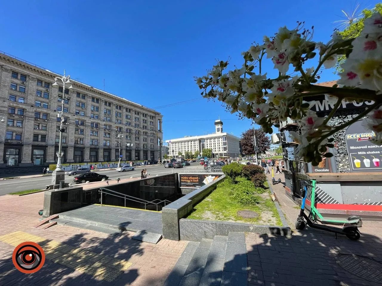 Білі каштани на Хрещатику