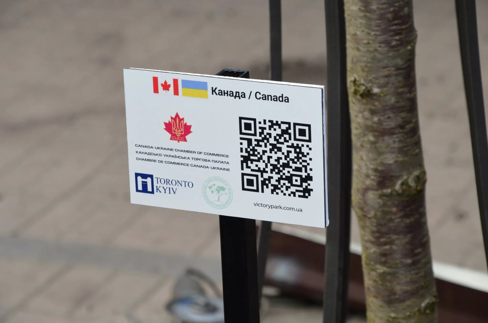 У каждого дерева установлена табличка с названием страны, QR-кодом на ссылку проекта с возможностью перевода средств У каждого дерева установлена табличка с названием страны, QR-кодом на ссылку проекта с возможностью перевода средств