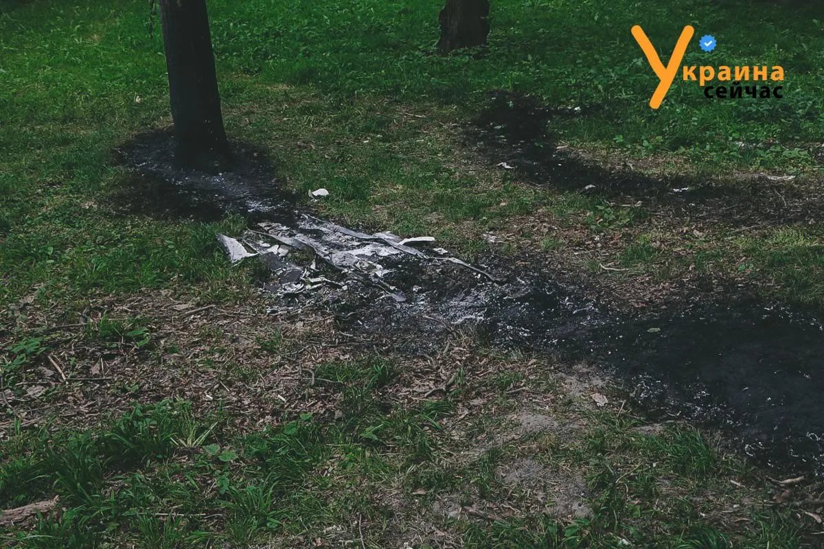 Внаслідок нічної атаки окупантів по Києву на територію столичного зоопарку впали уламки ракети, фото: Украина Сейчас