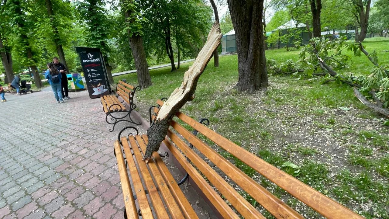 На щастя, ніхто з тварин та працівників зоопарку не постраждав