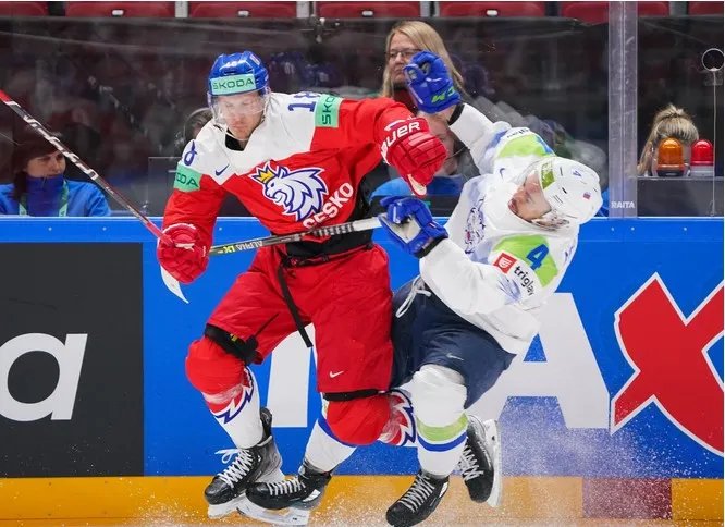Чехія - Словенія (Фото: IIHF)