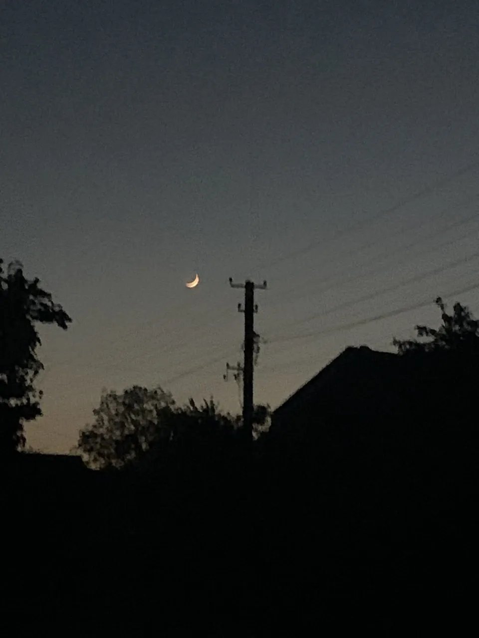 "Сяйво да Вінчі" над Україною, фото з Twitter