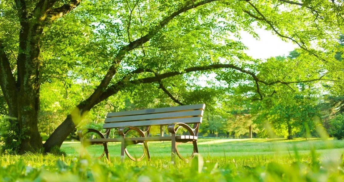 Європейський день парків