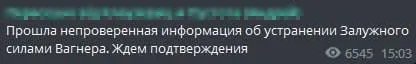 Версія про Залужного Версія про Залужного