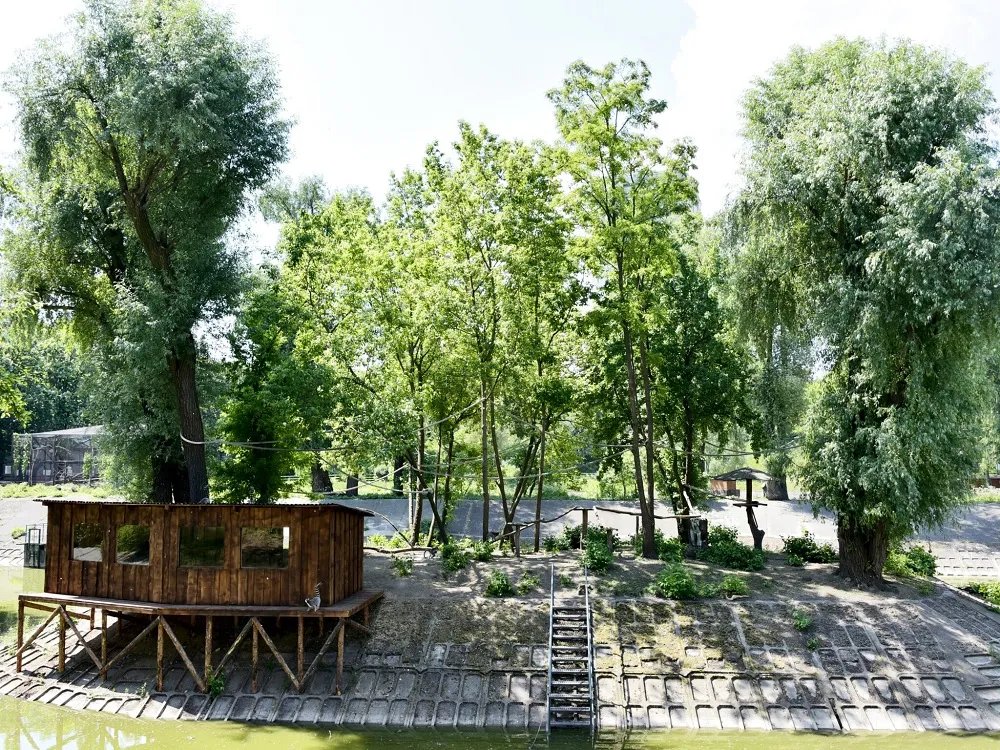 острів острів