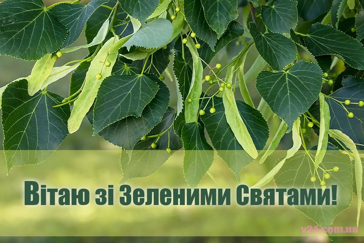 Вітаємо з Зеленими святами! Вітаємо з Зеленими святами!