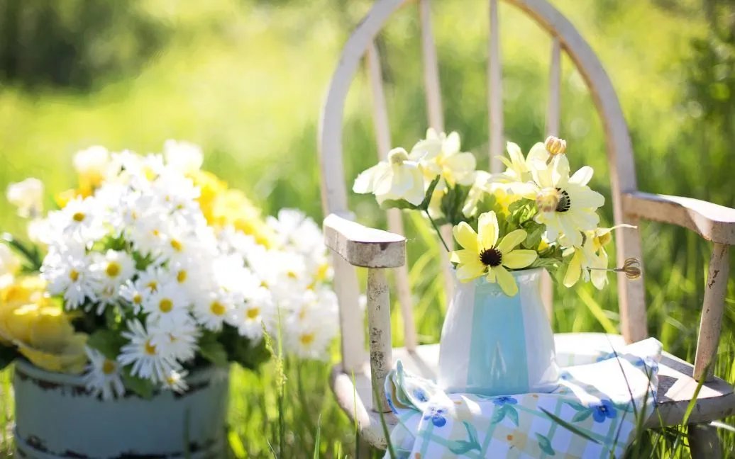 Фалалеїв день