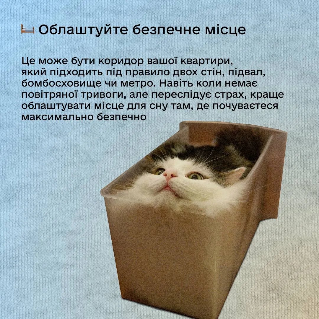 В "Действии" на примере с котиками дали советы, как заснуть во время массированных атак 1
