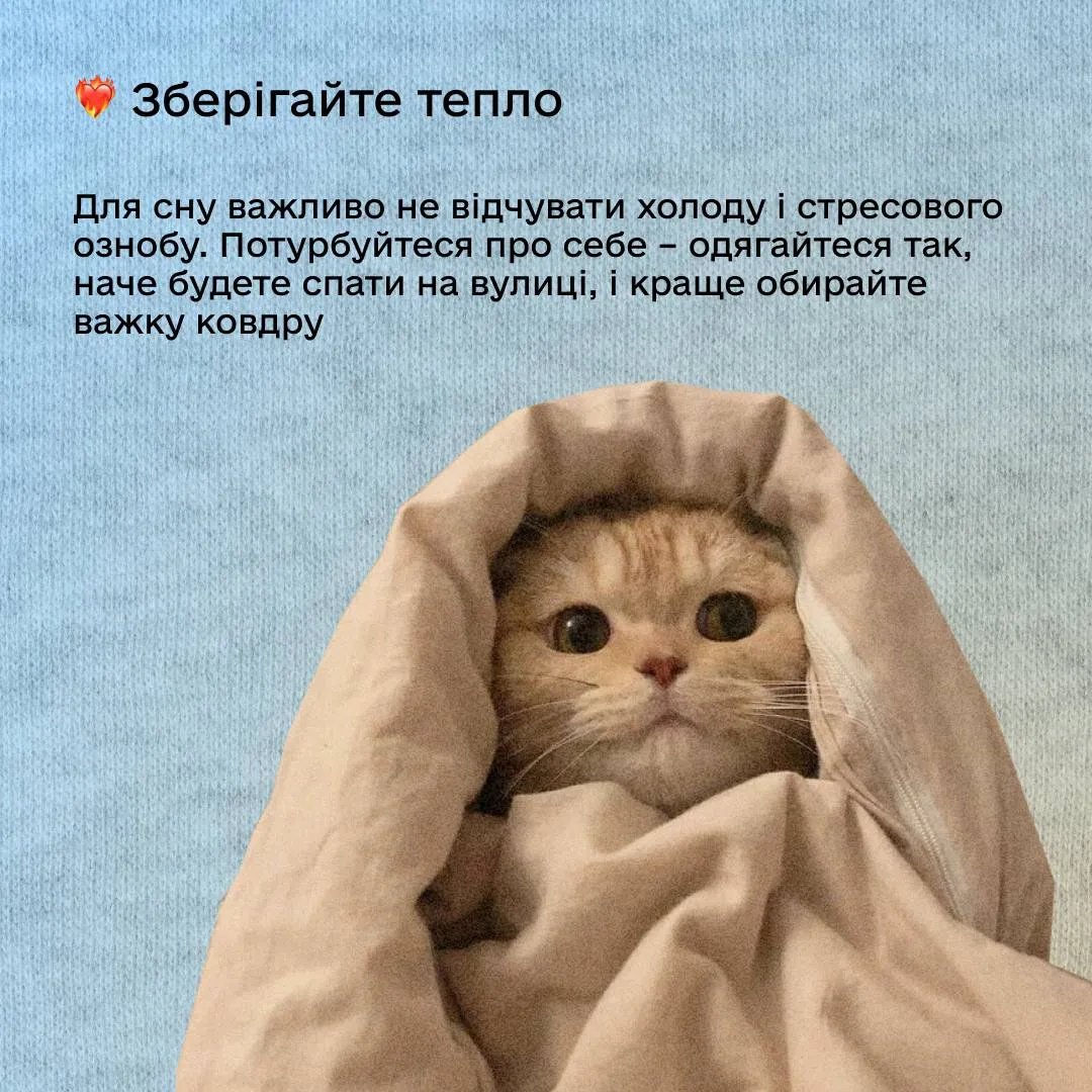 В "Действии" на примере с котиками дали советы, как заснуть во время массированных атак 2