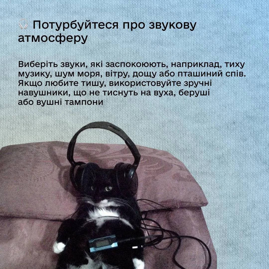 У "Дії" на прикладі з котиками дали поради, як заснути під час масованих атак 3