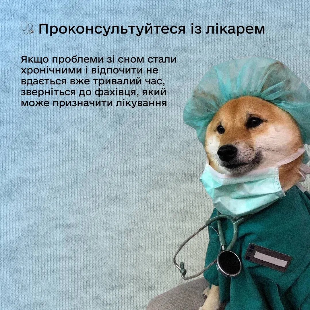У "Дії" на прикладі з котиками дали поради, як заснути під час масованих атак 5