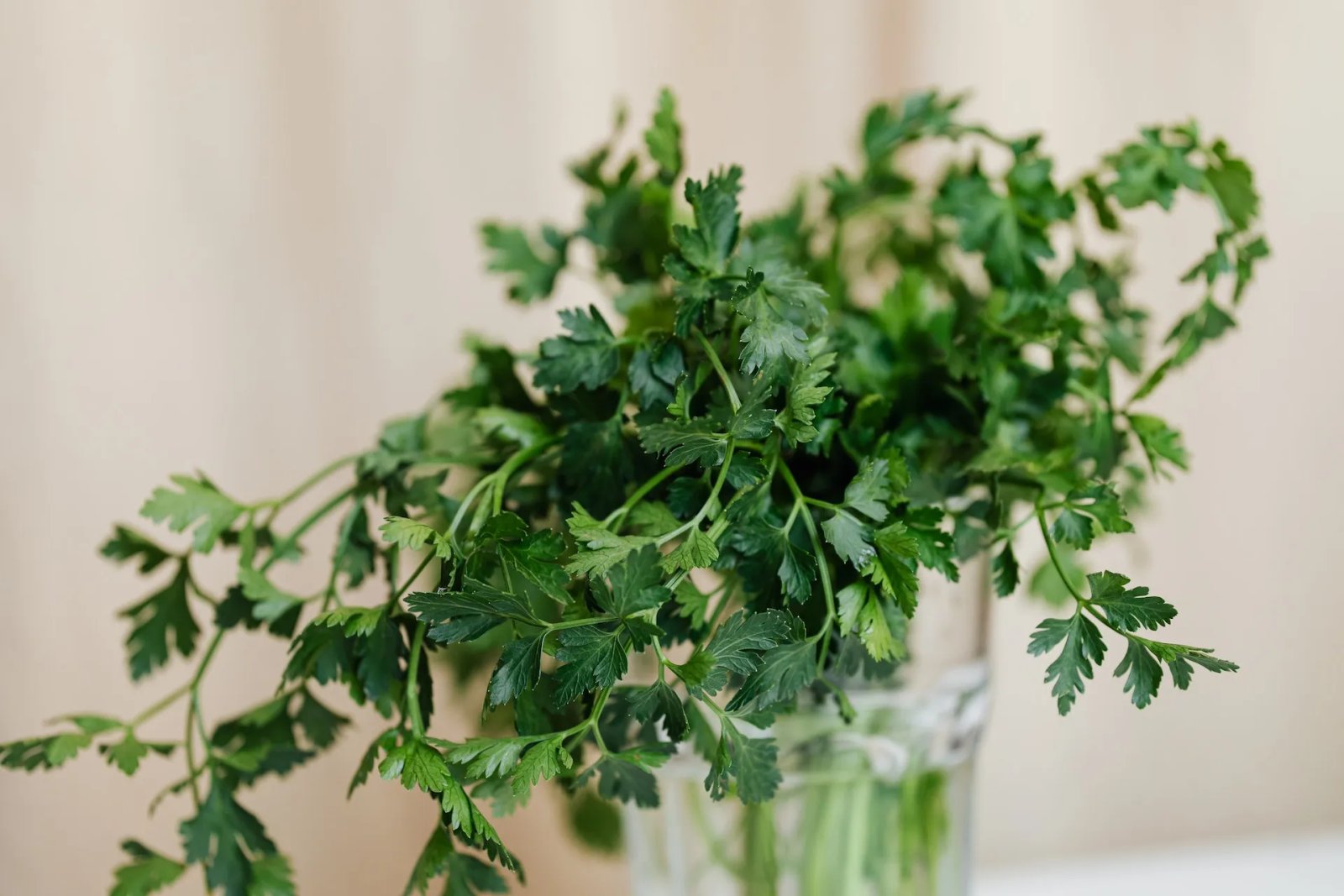 Чудове харчування для суглобів. Фото: Karolina Grabowska Чудове харчування для суглобів. Фото: Karolina Grabowska