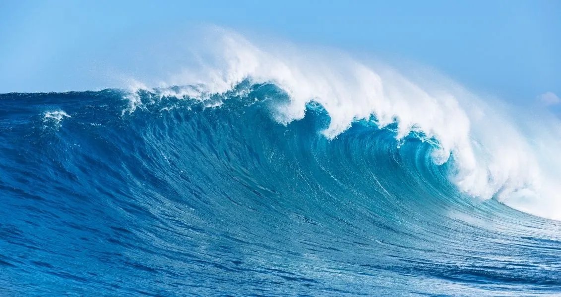 Всесвітній день океанів (World Oceans Day)