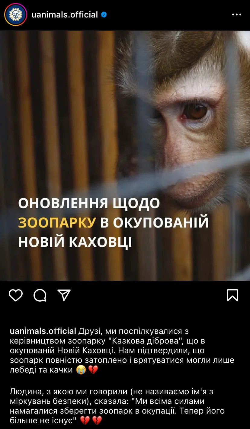 Повідомлення від UAnimals про ситуацію в зоопарку