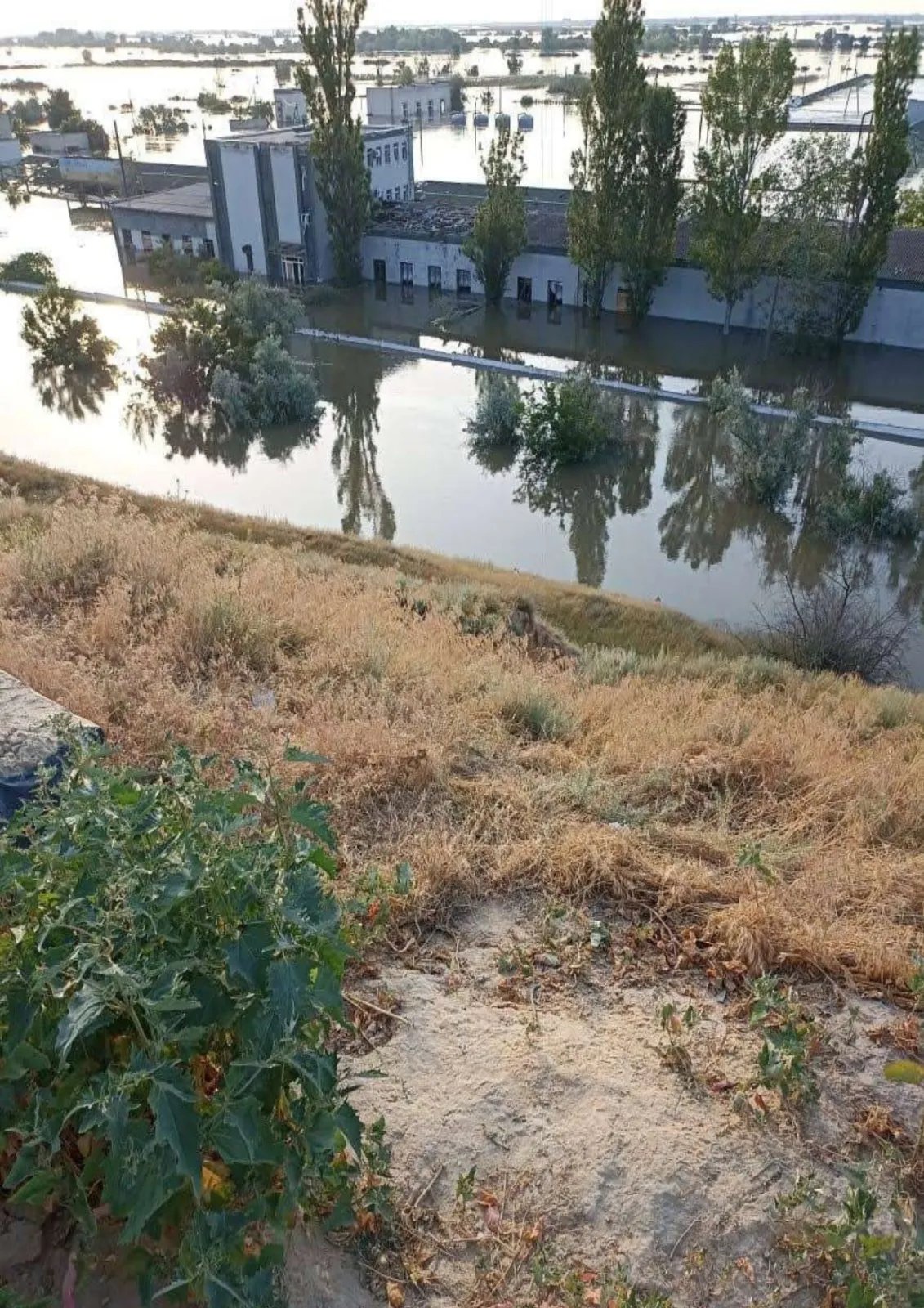 В Україні затопило єдиний державний осетровий завод через підрив Каховської ГЕС 1