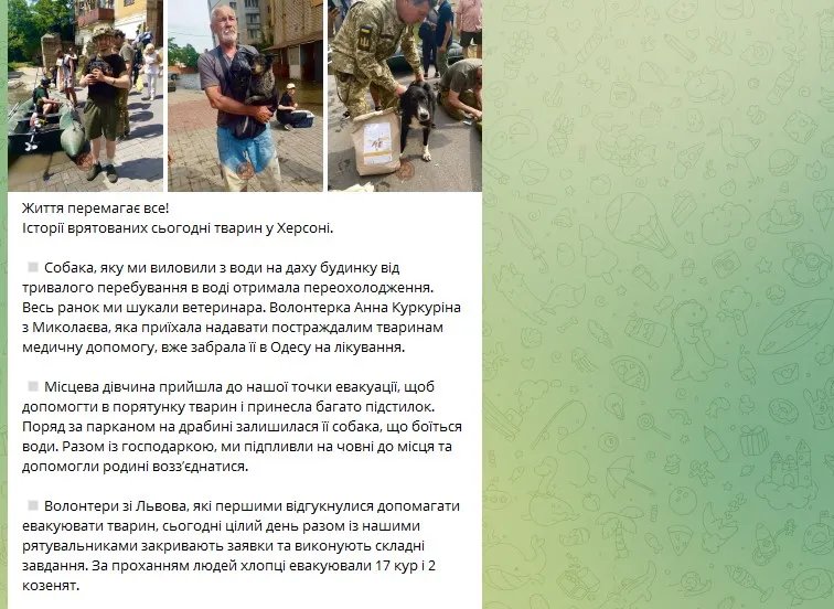 Налякані й нещасні: як рятують домашніх тварин на Херсонщині - відео 2