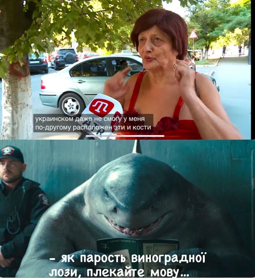 Мова на часі навіть в акули