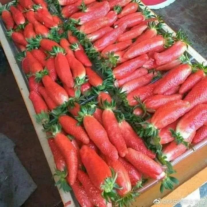 Полуниця в стилі моркви