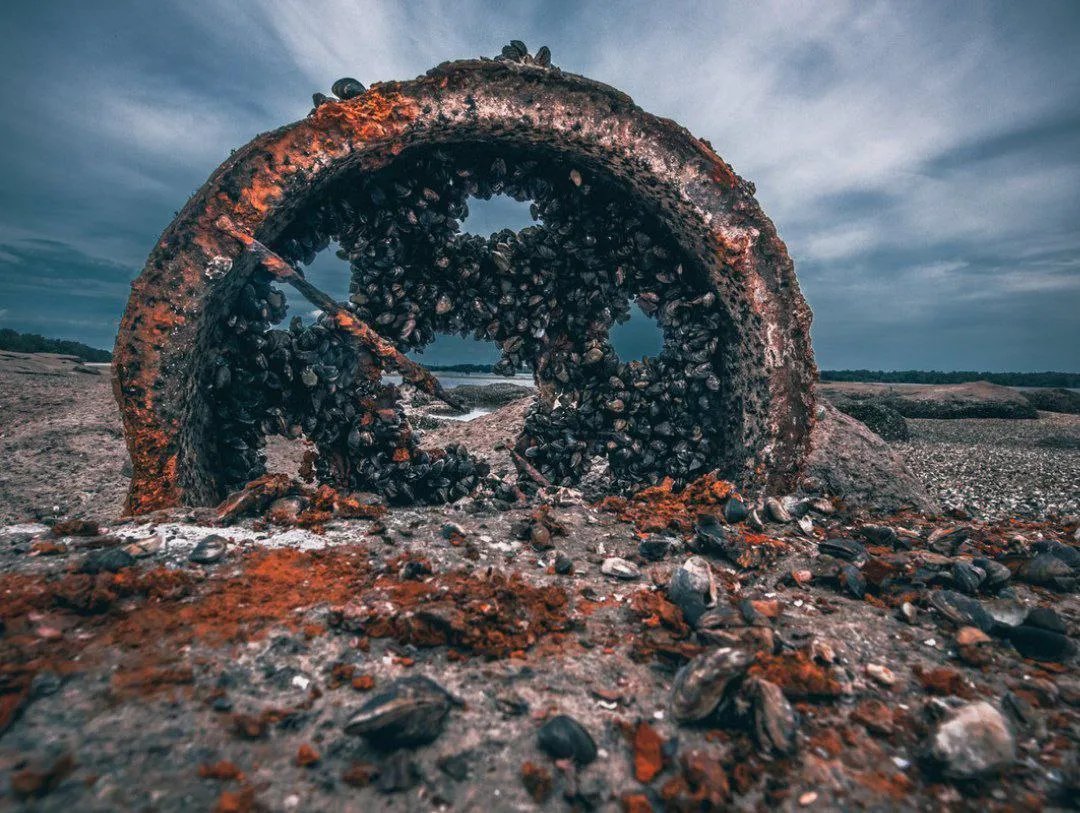 Там, де ще тиждень тому була вода, зараз - суша