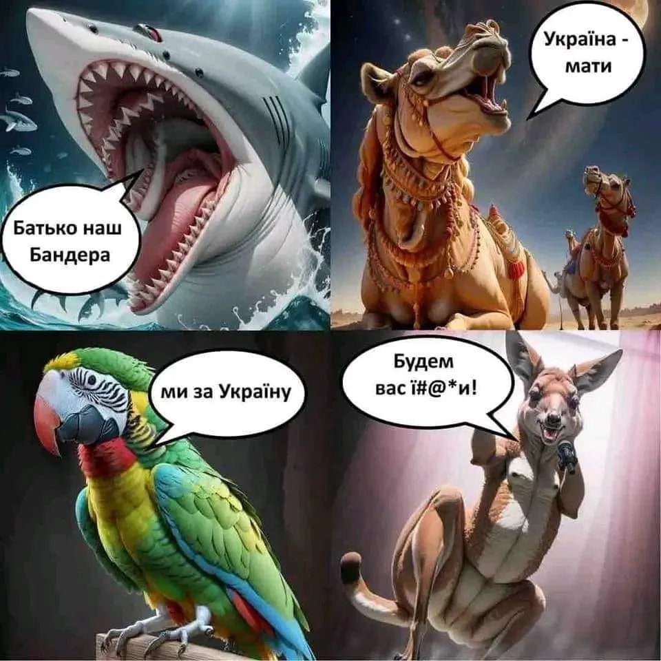 Нові чорні анекдоти та меми про акулу. Вєрка Сердючка теж відіжгла 5