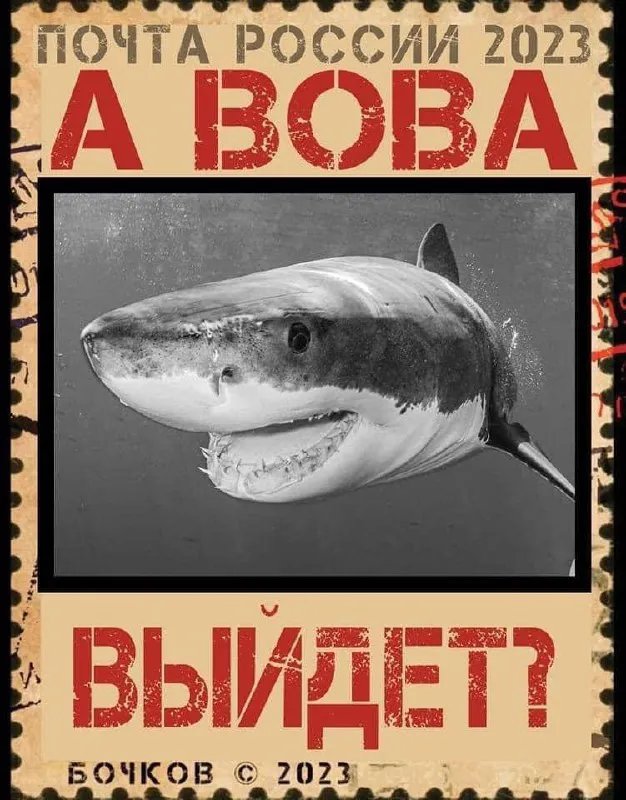 Нові чорні анекдоти та меми про акулу. Вєрка Сердючка теж відіжгла 3