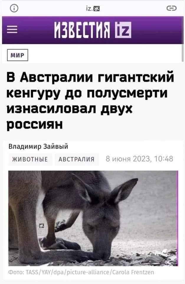 Росіяни теж створюють меми про небезпечних тварин Росіяни теж створюють меми про небезпечних тварин