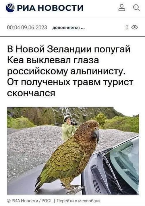Росіяни теж створюють меми про небезпечних тварин Росіяни теж створюють меми про небезпечних тварин